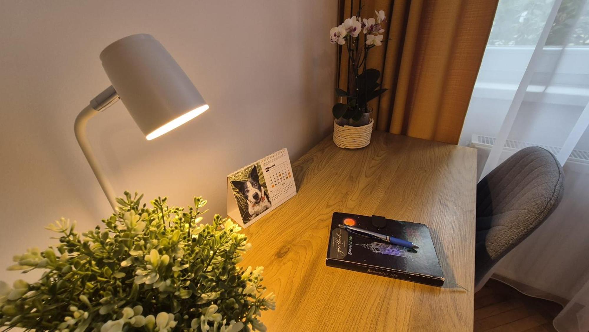Tusmorez Central Apartment Targu-Mures Bagian luar foto